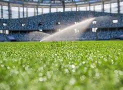 山东球迷李,平康遭戴琳,欠款陷昏迷,乐鱼体育,乐鱼体育app,乐鱼体育官网,乐鱼体育下载,乐鱼体育入口