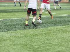 沙特豪门领,队揭秘,年轻狂飙,乐鱼体育,乐鱼体育app,乐鱼体育官网,乐鱼体育下载,乐鱼体育入口