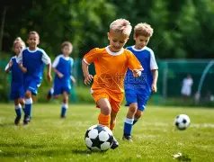 树冠之上藏,诗意,辽铁狂热博,乐鱼体育,乐鱼体育app,乐鱼体育官网,乐鱼体育下载,乐鱼体育入口