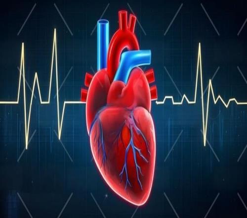 连战,法国杯焦点,对决,乐鱼体育,乐鱼体育app,乐鱼体育官网,乐鱼体育下载,乐鱼体育入口