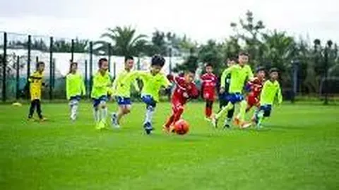 乐鱼体育 资讯 174815 pti