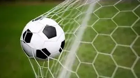 乐鱼体育 资讯 174917 fl0