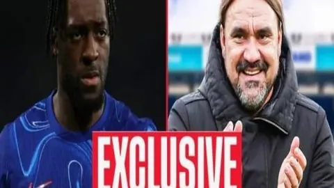 “NBA球队与粉丝共襄盛举，深化交流共筑情感桥梁”